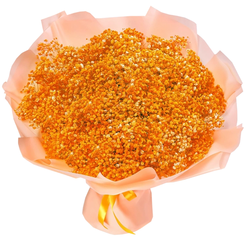 Букет из 51 оранжевой гипсофилы